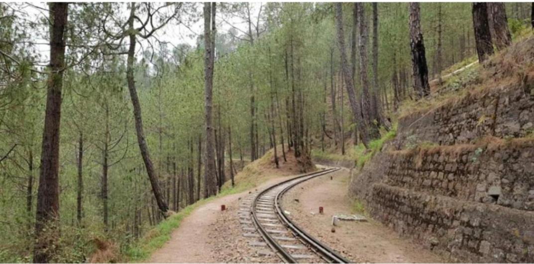 The Heritage Home Kasauli I Pine View Serviced Villa I Best Seller I Vacations I Family Events I Sky Bonfire I Kasauli By Exotic Stays Extérieur photo