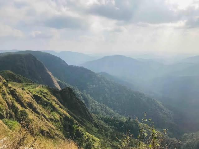 The Heritage Home Kasauli I Pine View Serviced Villa I Best Seller I Vacations I Family Events I Sky Bonfire I Kasauli By Exotic Stays Extérieur photo